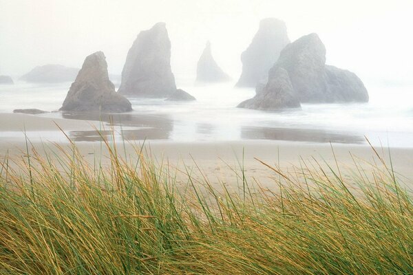 Acantilados y niebla sobre el mar con una costa de arena