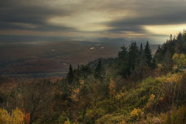 Herbstliche Traurigkeit Blick über den Wald und Weg in die Ferne