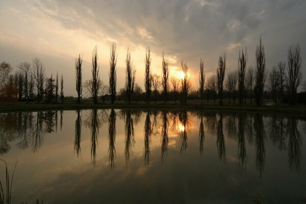 Reflexión de los árboles en el estanque durante la puesta del sol