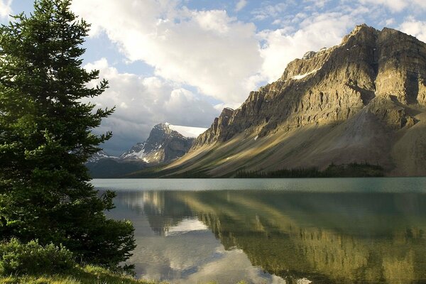 Épinette près du lac de montagne