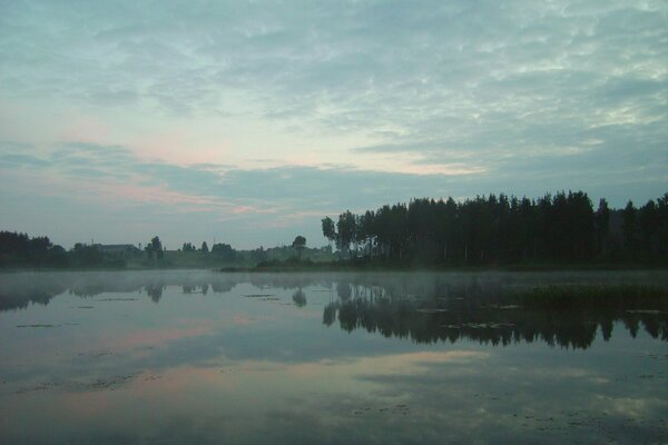 Árboles por la noche sobre el lago