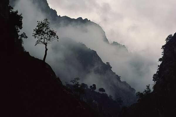 La niebla gris desciende en el desfiladero