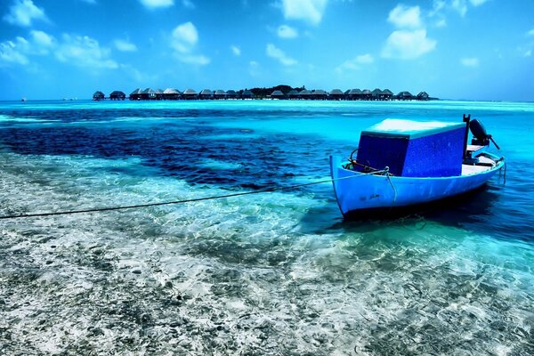 Bateau amarré dans une baie sur une île tropicale