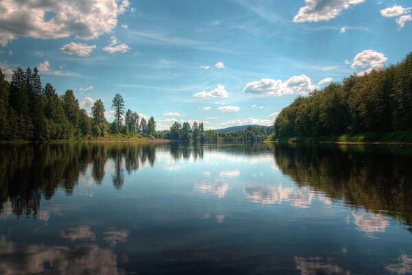 A mirror image of nature in the lake