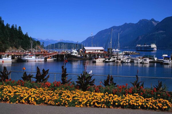 Liegeplatz mit Blumen im Hafen am Meer