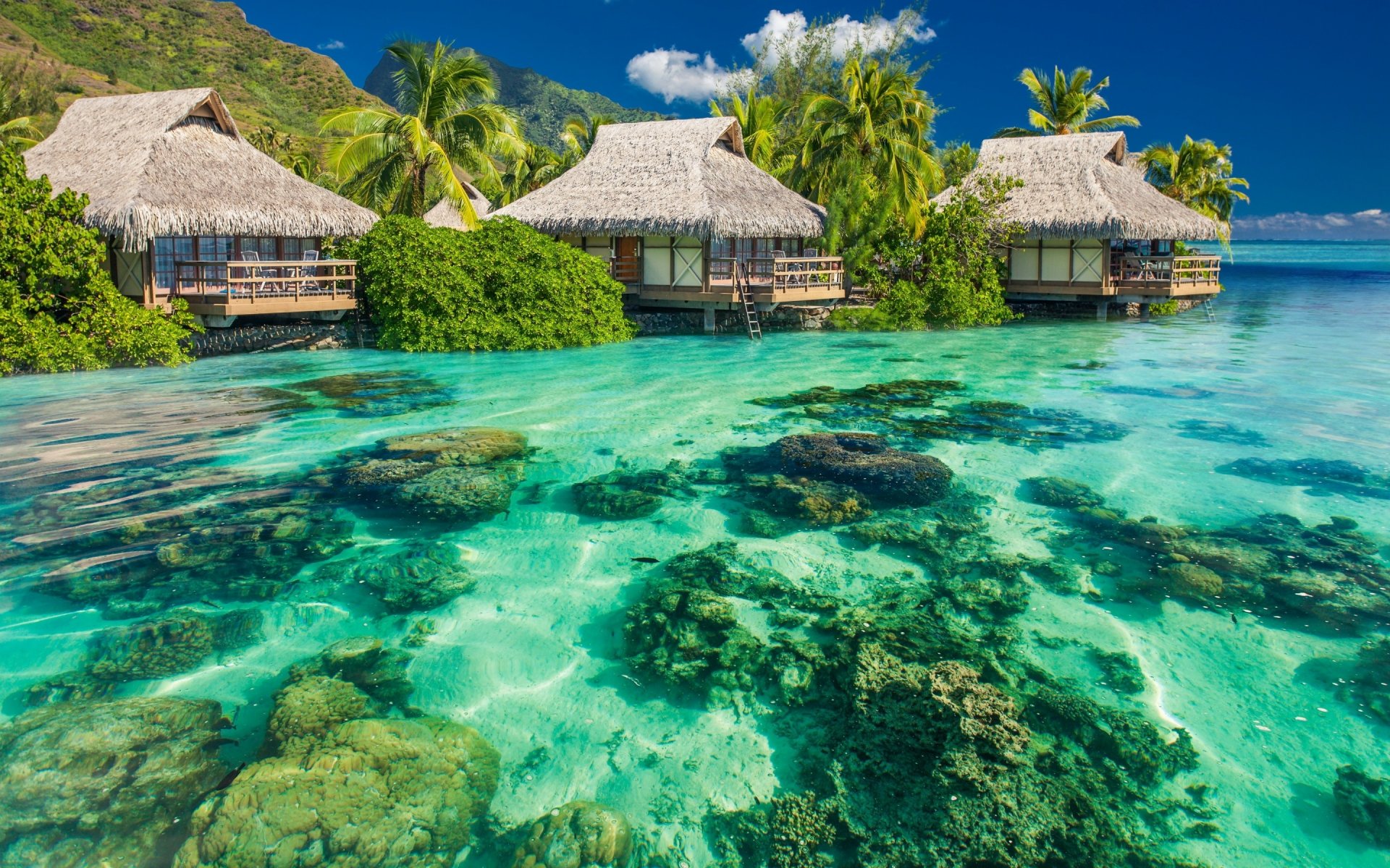 océano agua rocas bungalow palmeras cielo