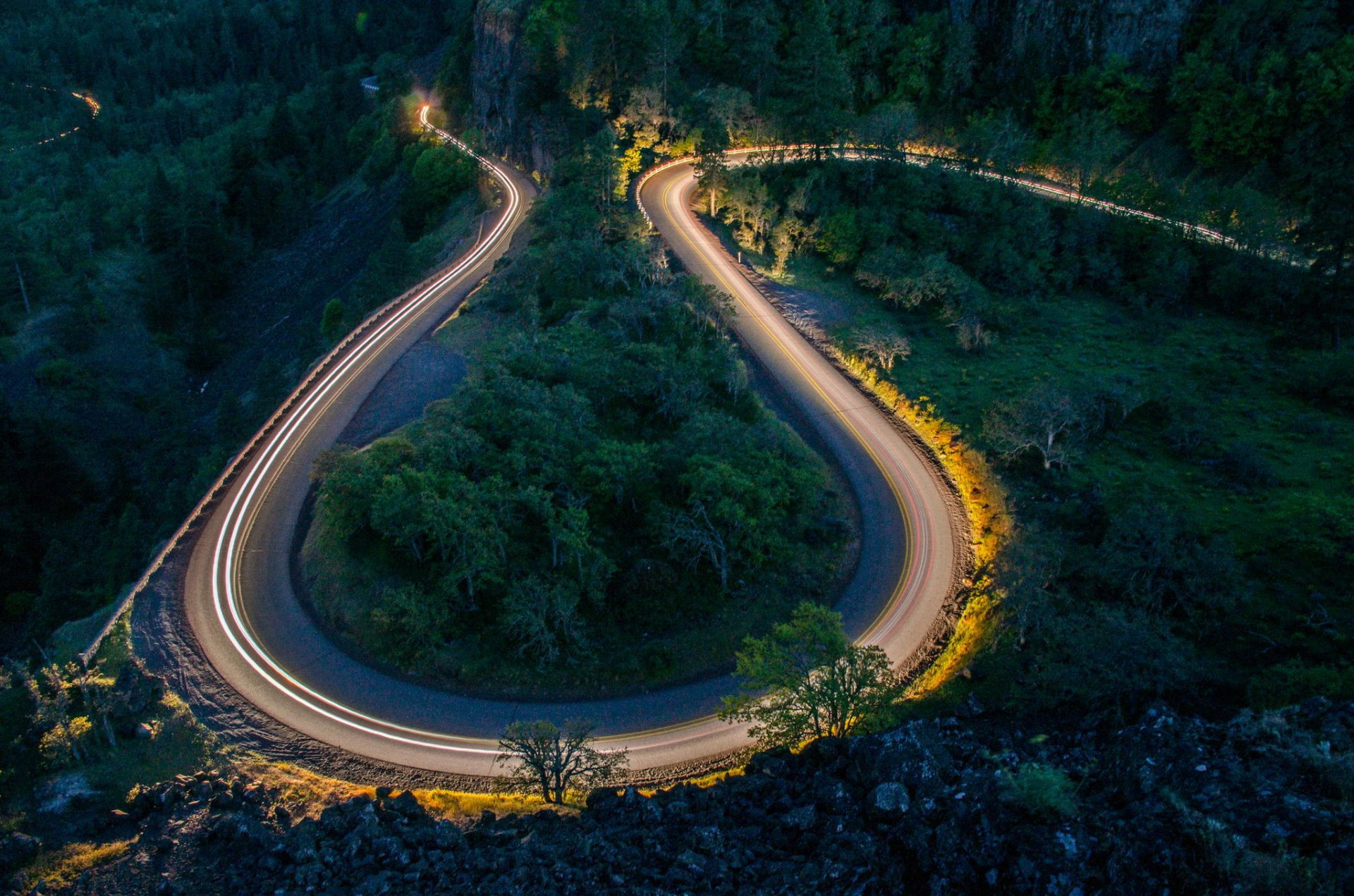 straße wald abend serpentine