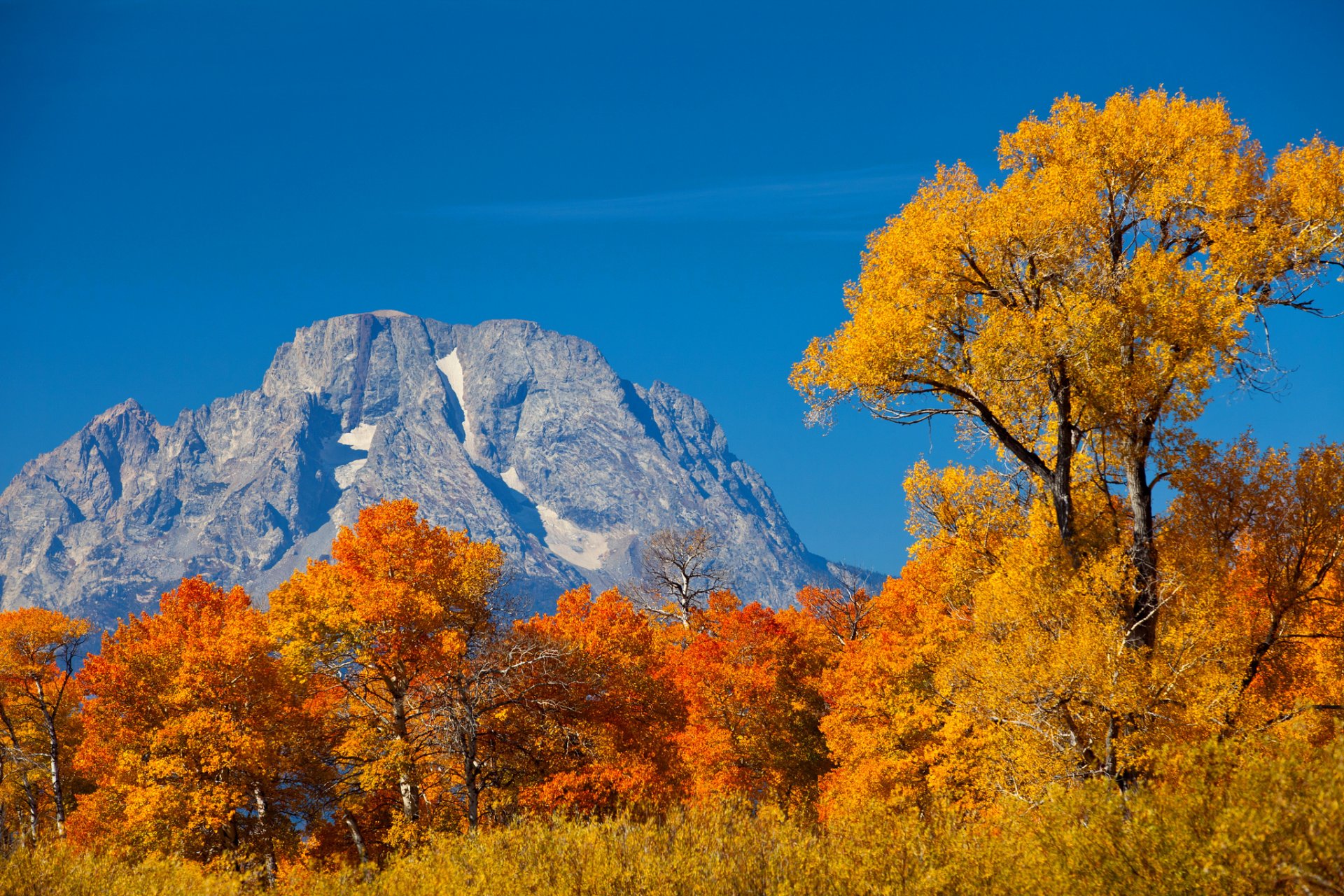 ciel montagnes arbres feuilles automne