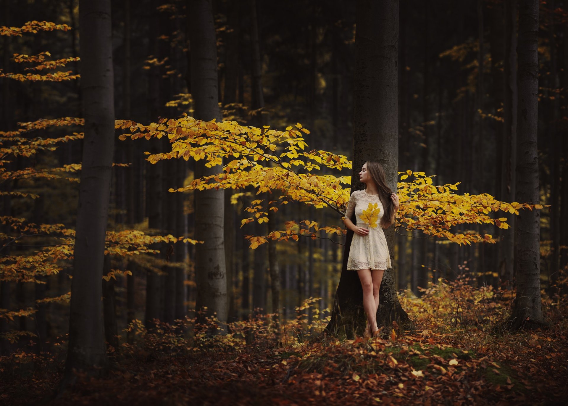 mädchen wald herbst