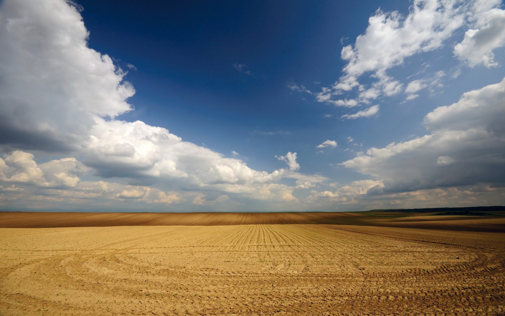 feld himmel leere