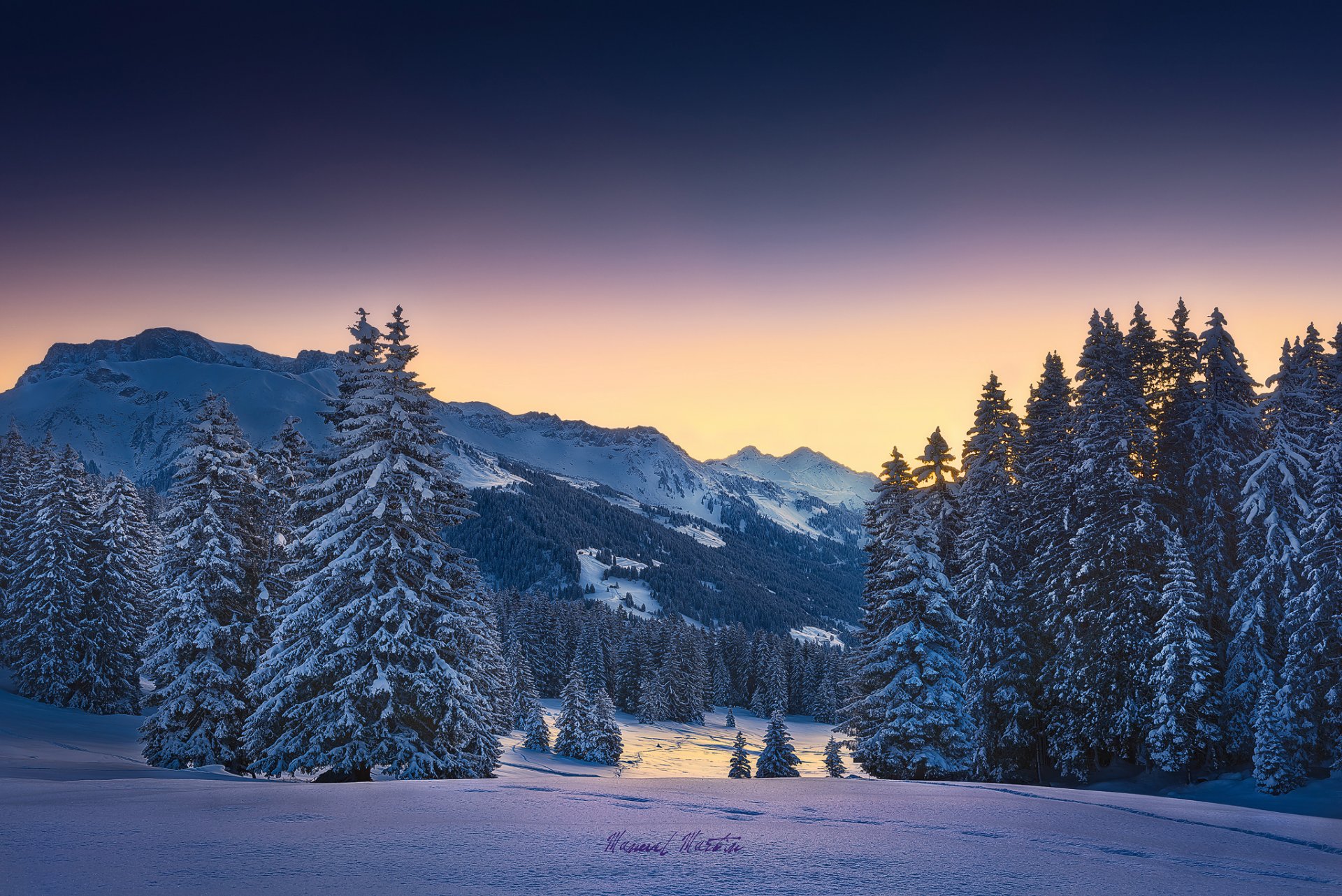 montagne alpi mattina inverno foresta neve