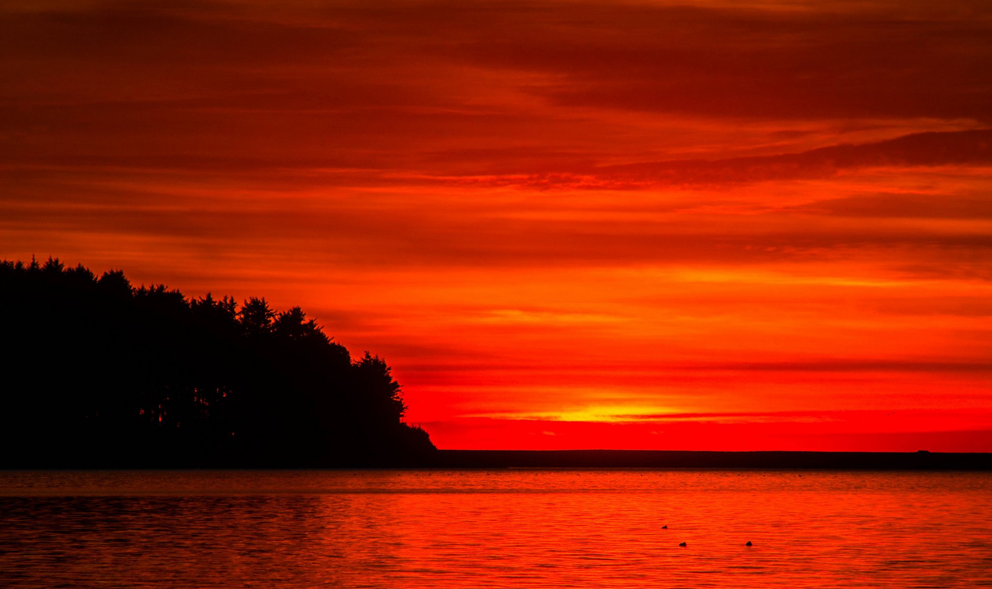 cielo nubes puesta de sol resplandor bosque árboles lago