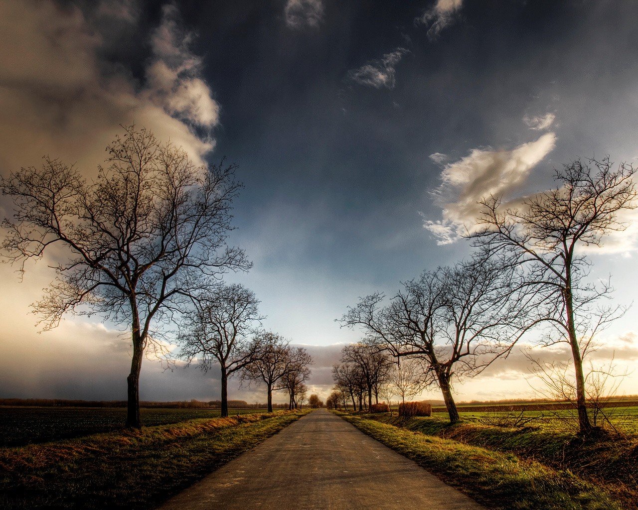 strada cielo alberi