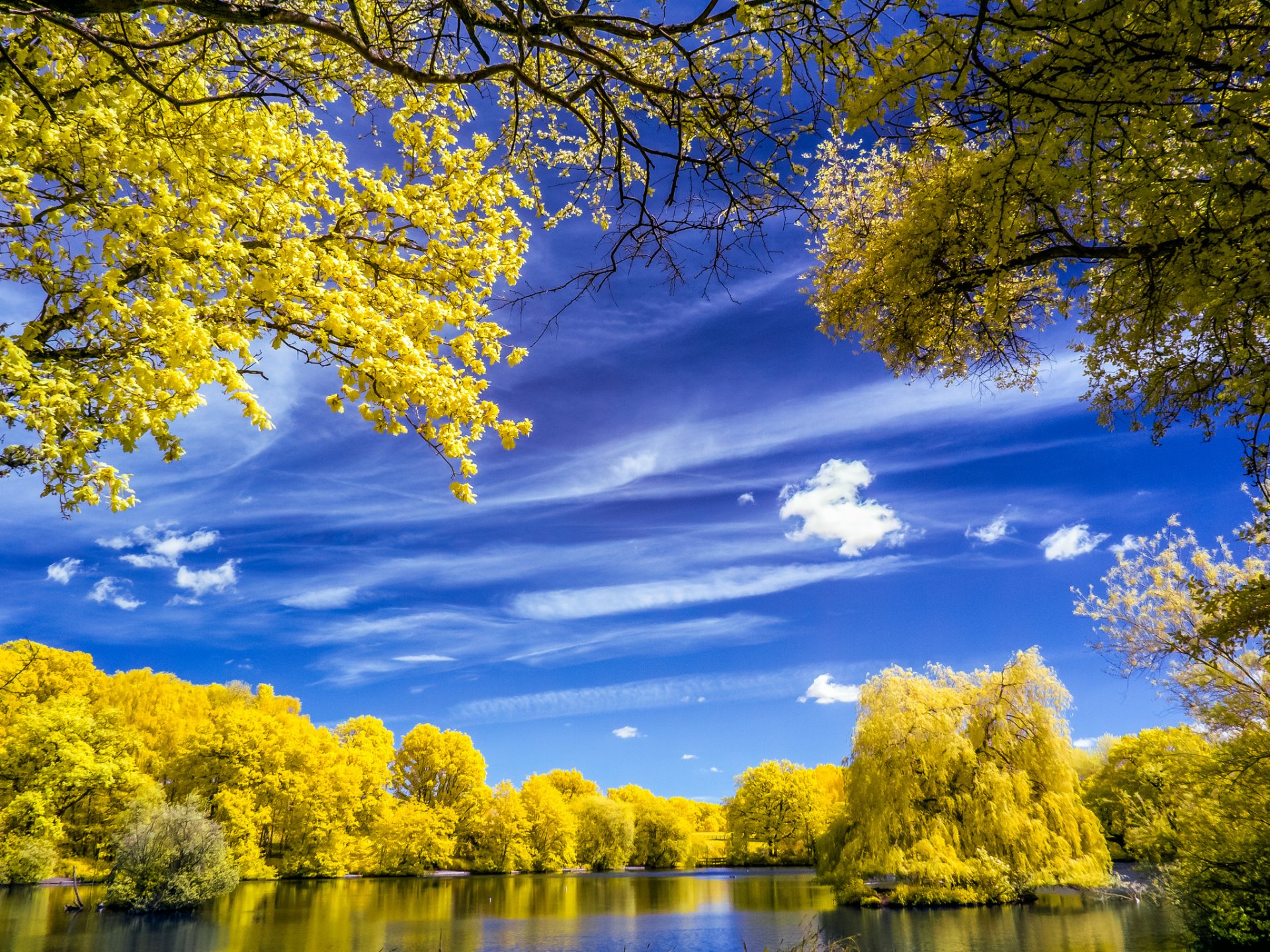 cielo nubes lago árboles otoño