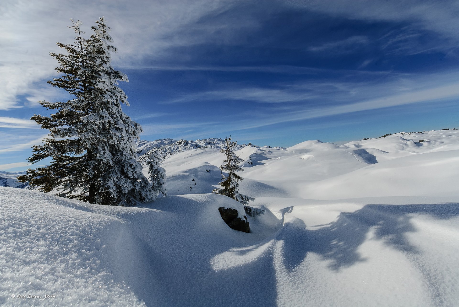 ciel hiver montagnes collines neige arbre sapin