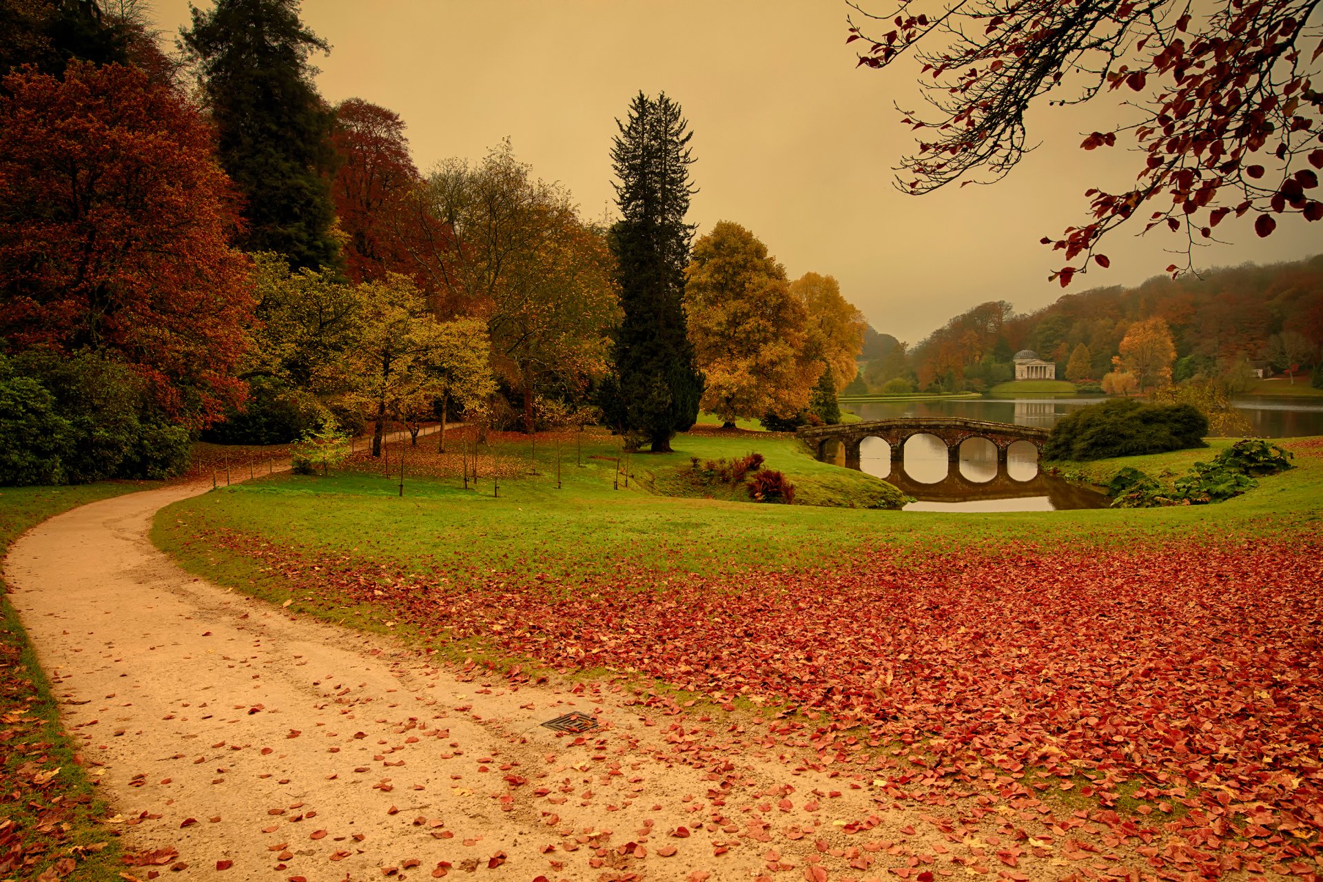 mentire attraverso la lente stauerhead autunno foglie alberi