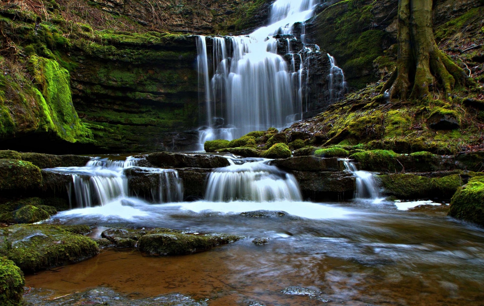 caleber forces yorkshire dales north yorkshire england yorkshire dales waterfall cascade