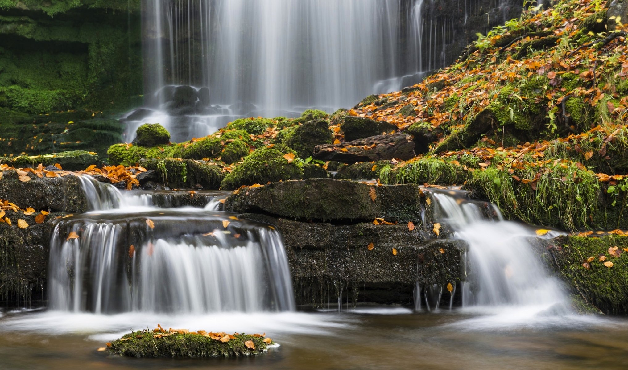 caleber fuerza settle yorkshire del norte inglaterra parque nacional de yorkshire dales settle yorkshire dales cascada rocas musgo hojas otoño