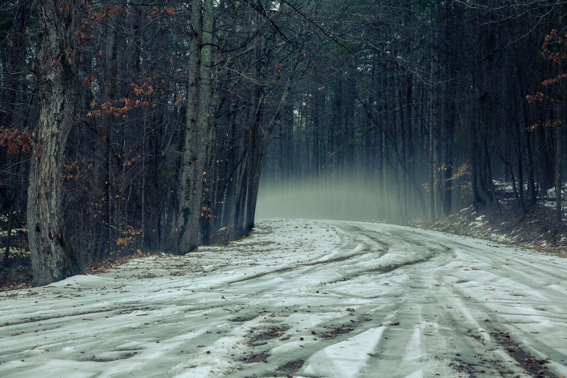 carretera otoño niebla