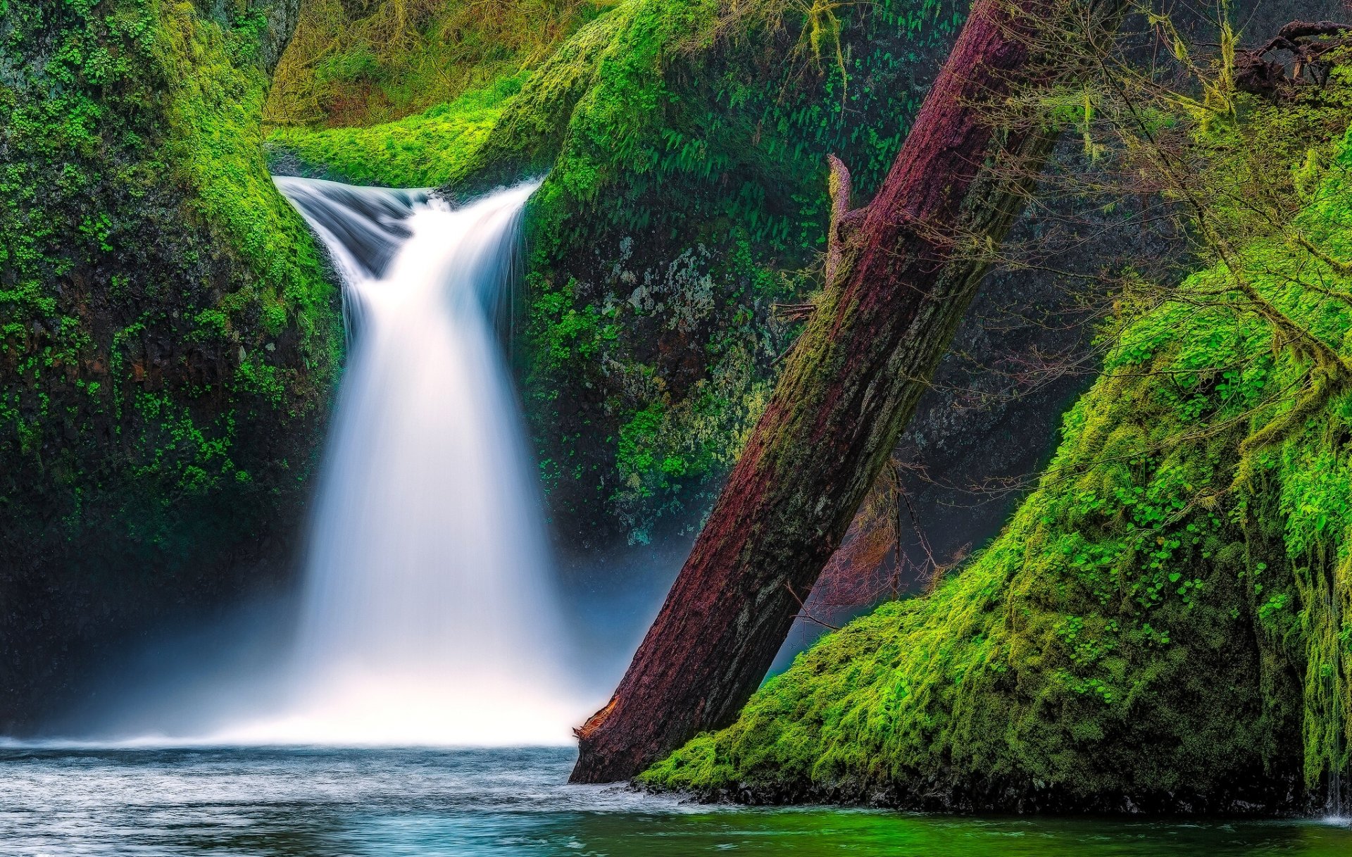 punch bowl водопад eagle creek ущелье реки колумбия орегон водопад панчбоул водопад река мох бревно