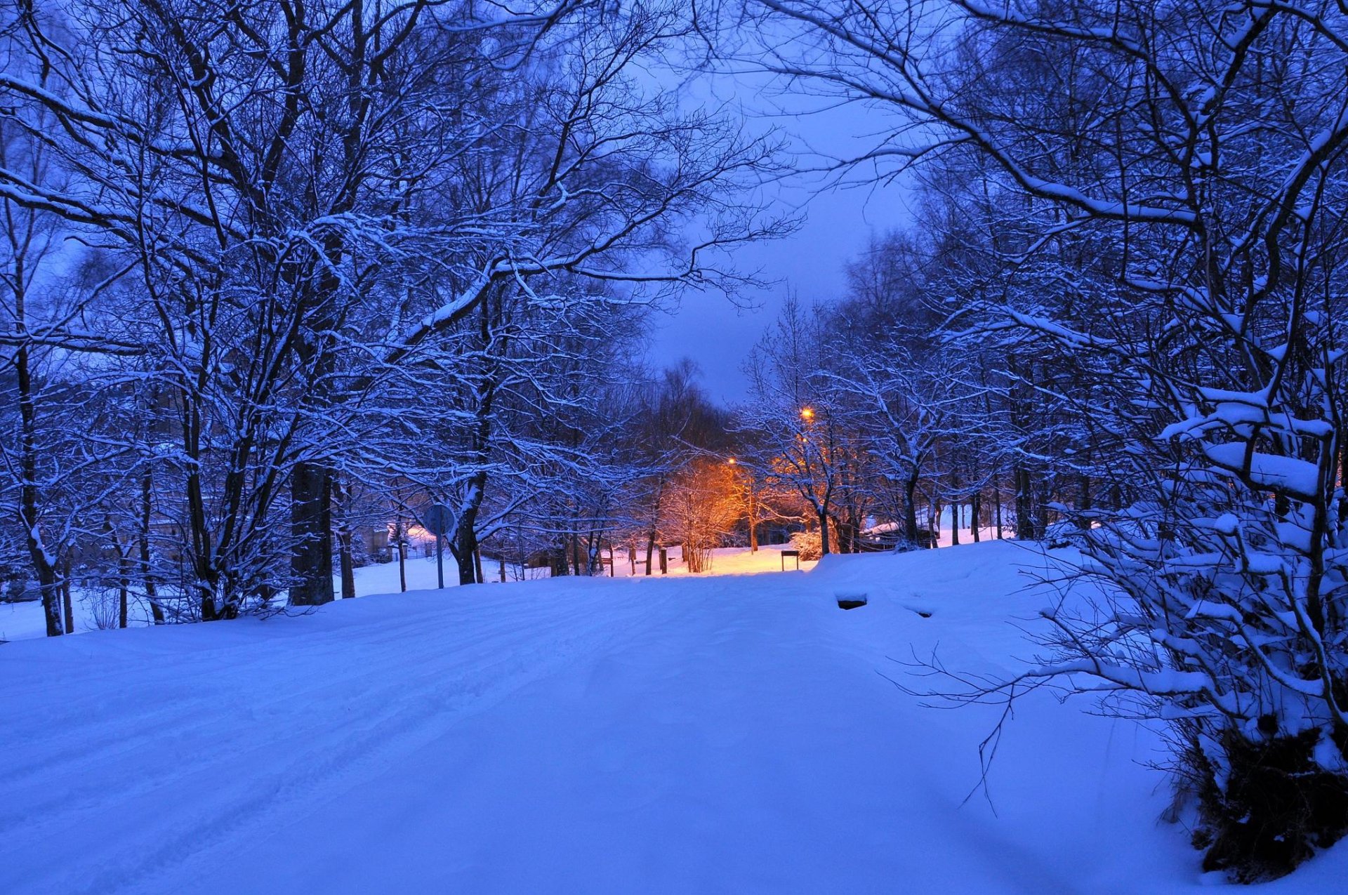 nacht abend licht lichter winter straße bäume laterne schnee