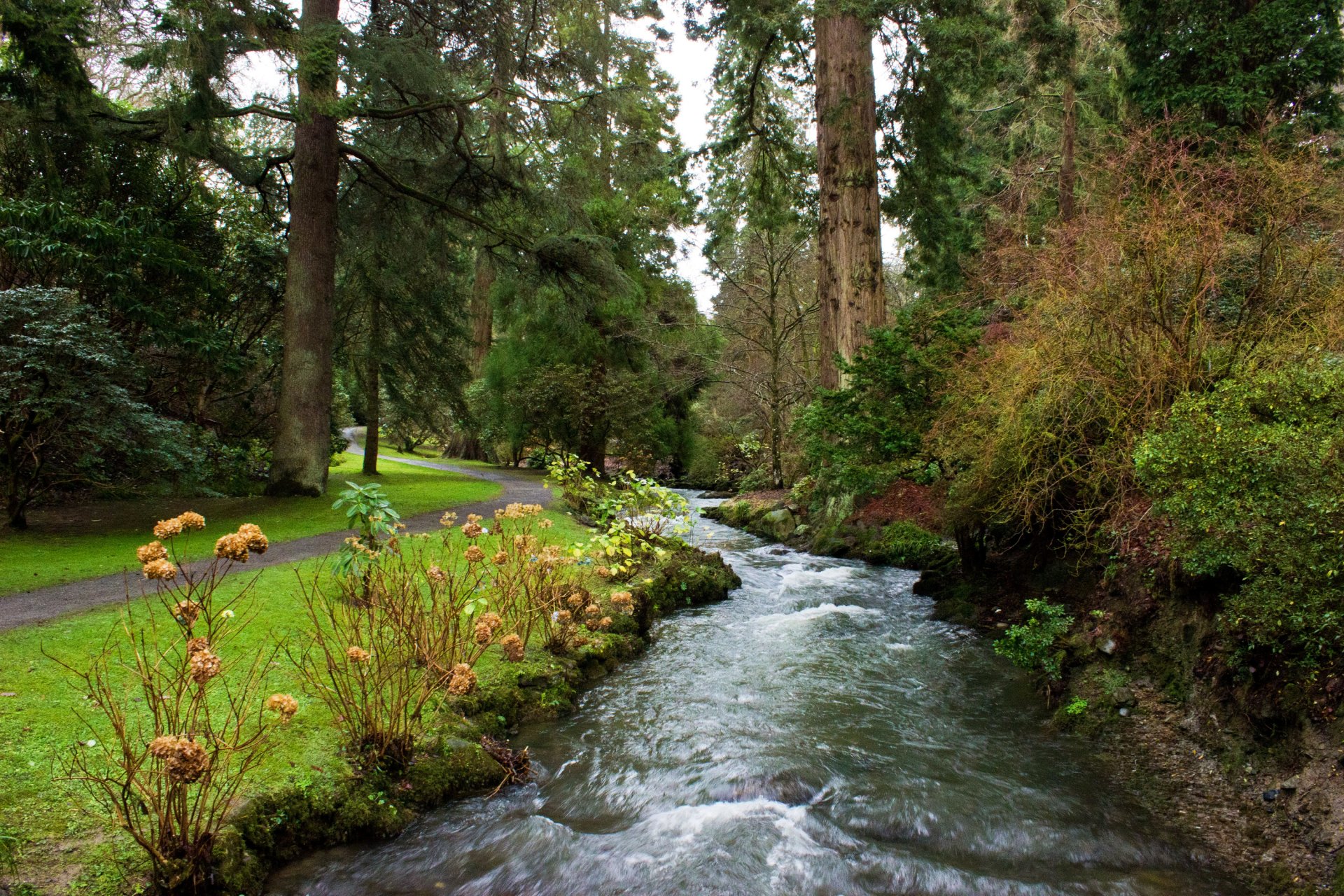 großbritannien park bäume fußweg bach strom