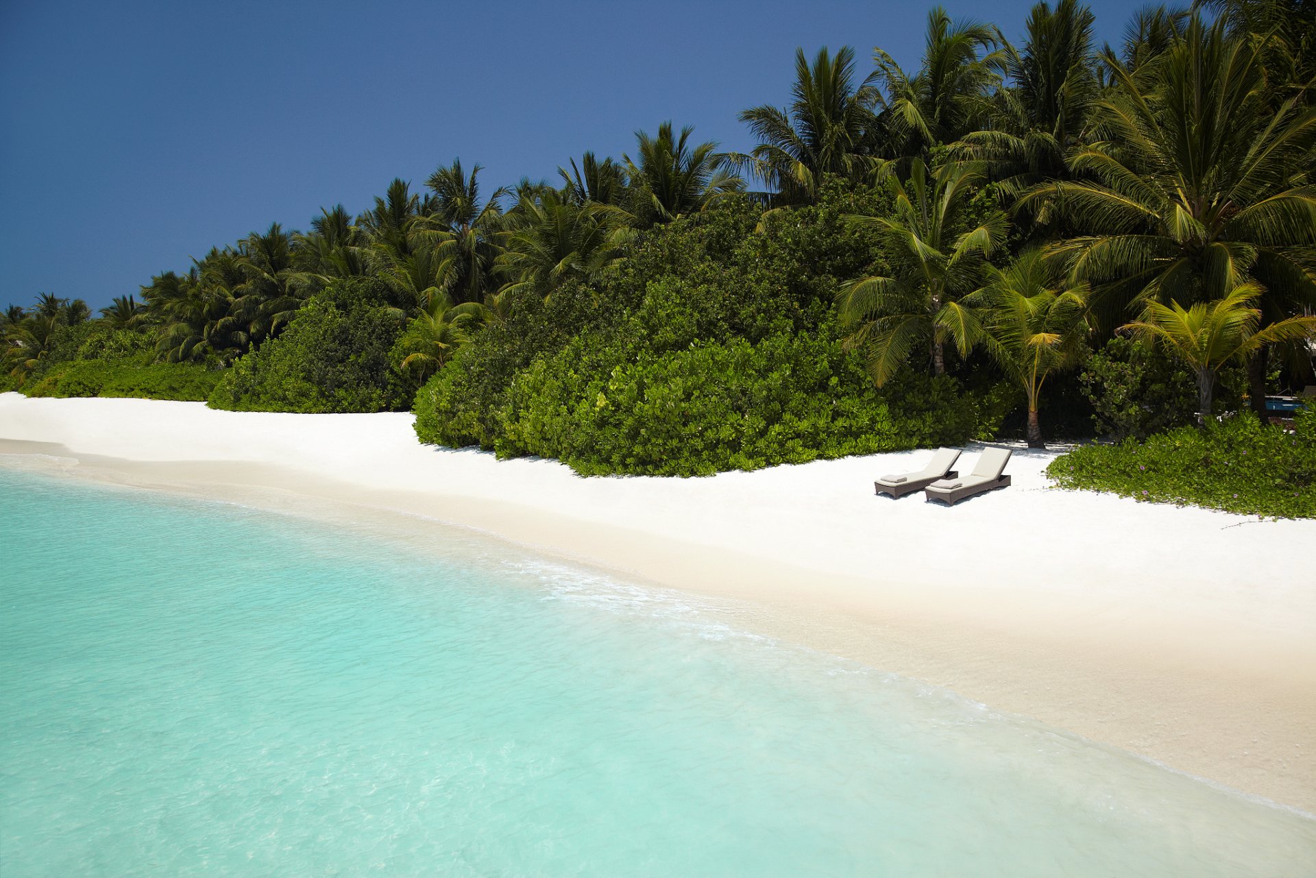 ozean strand sand sonnenliegen palmen büsche