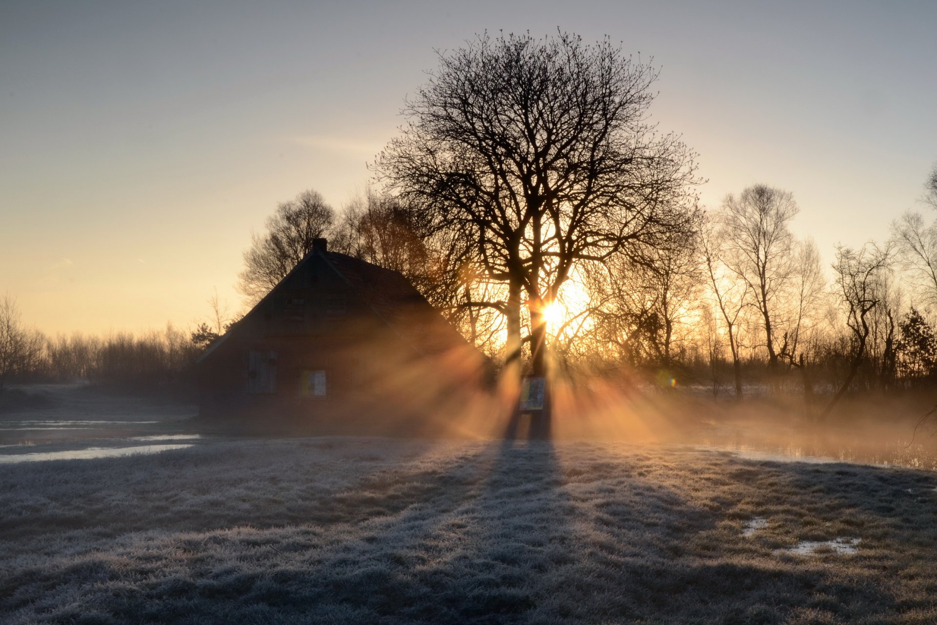 matin brouillard maison