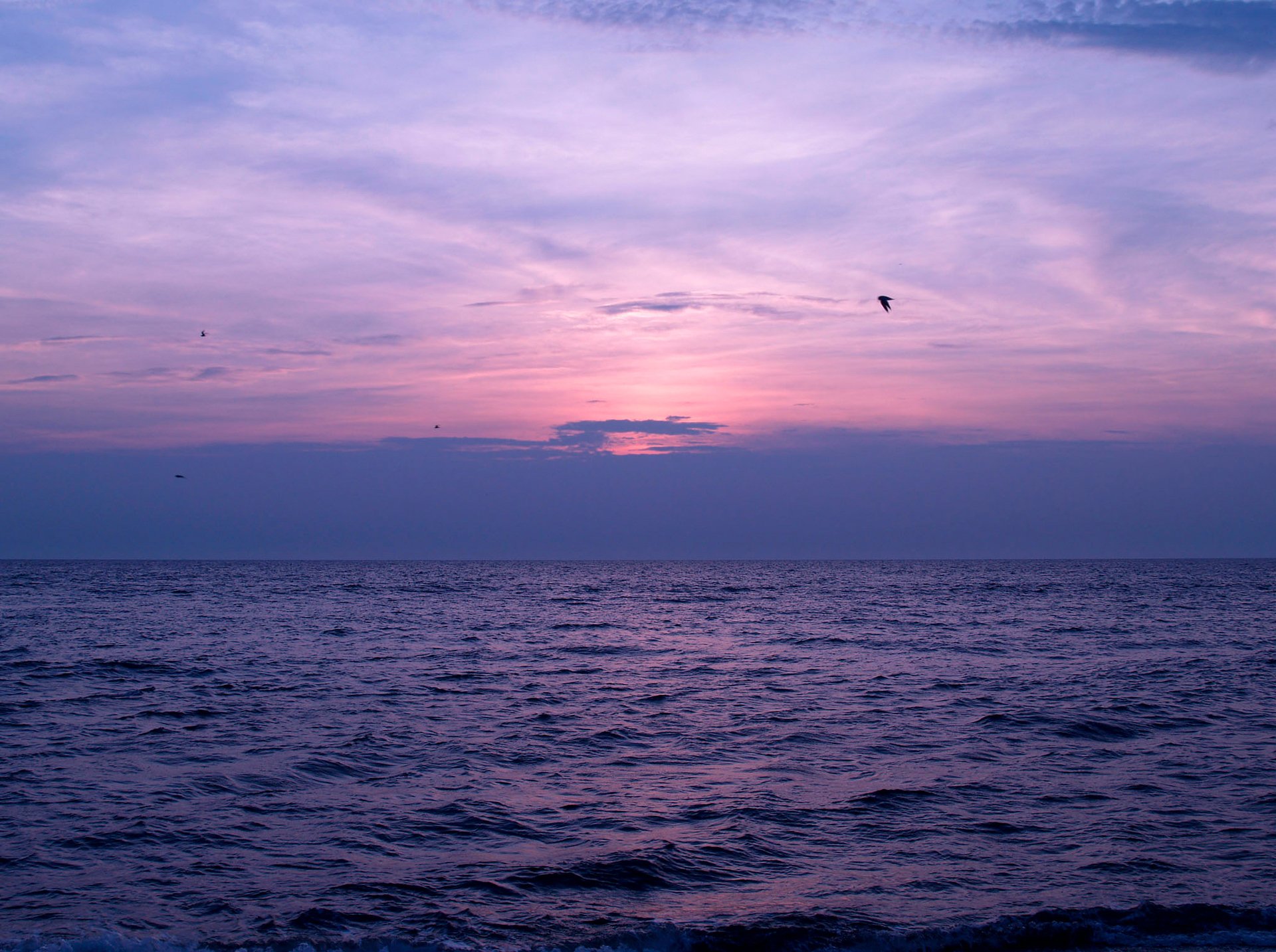 ciel nuages coucher de soleil mer oiseaux