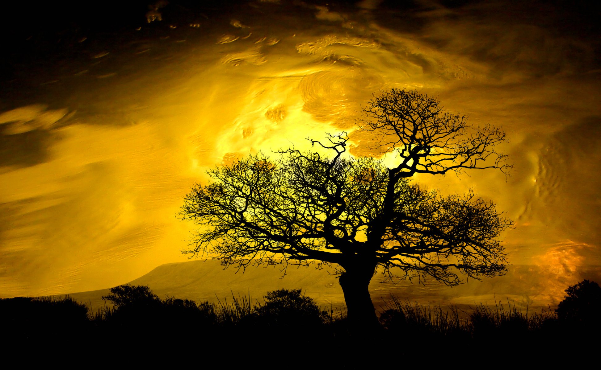 cielo nubes resplandor montañas árbol silueta