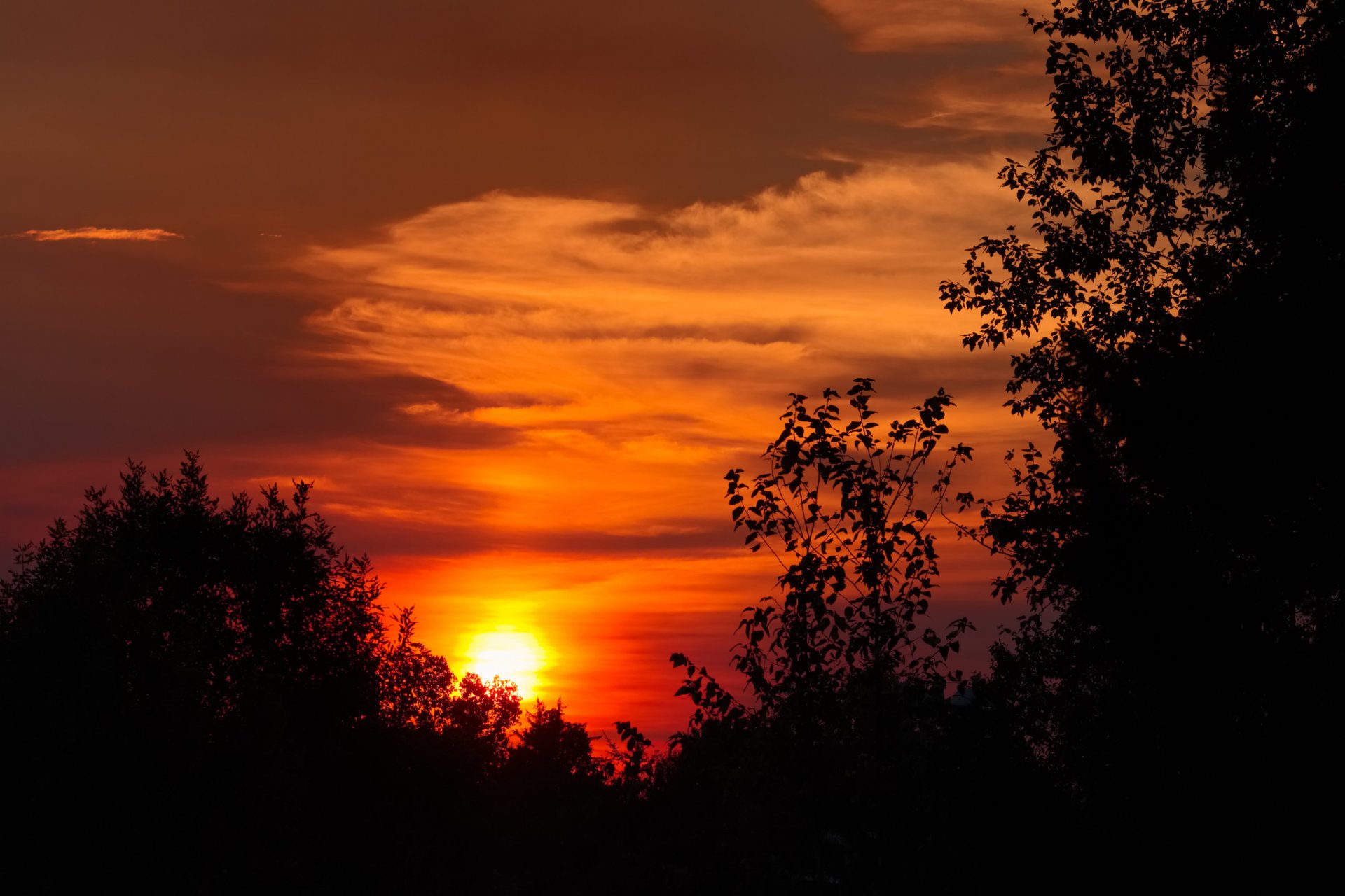 ky clouds sun sunset glow tree silhouette