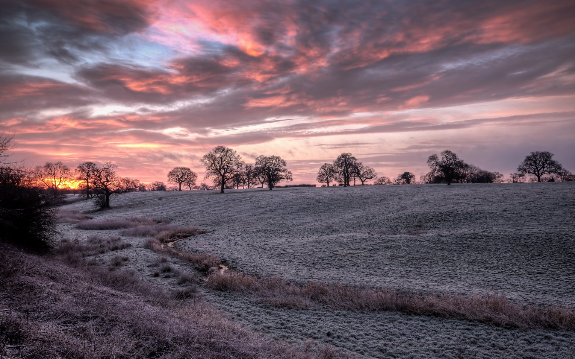 banbury hdr vor dem einfrieren feld bäume silhouette