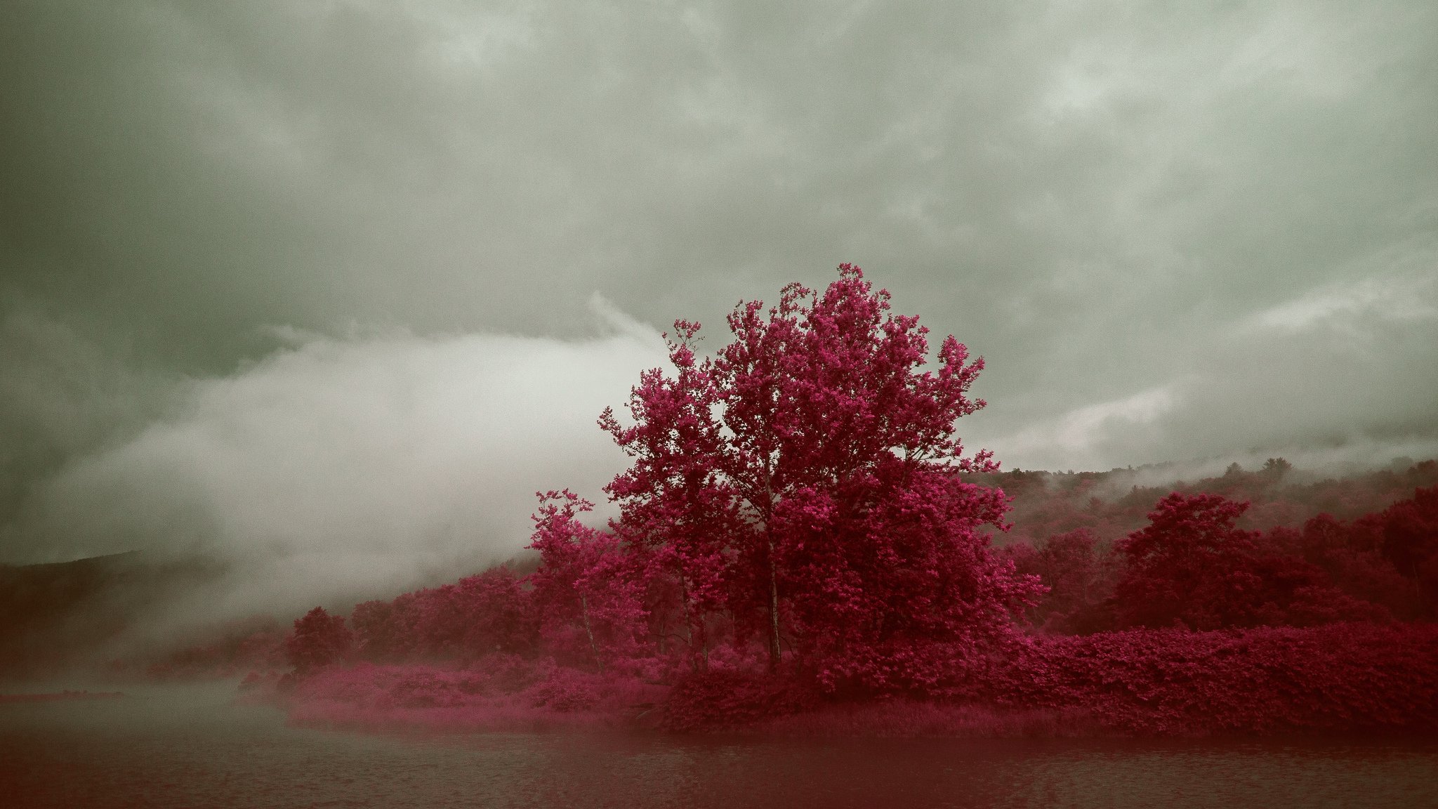 cielo nuvole nebbia lago alberi autunno