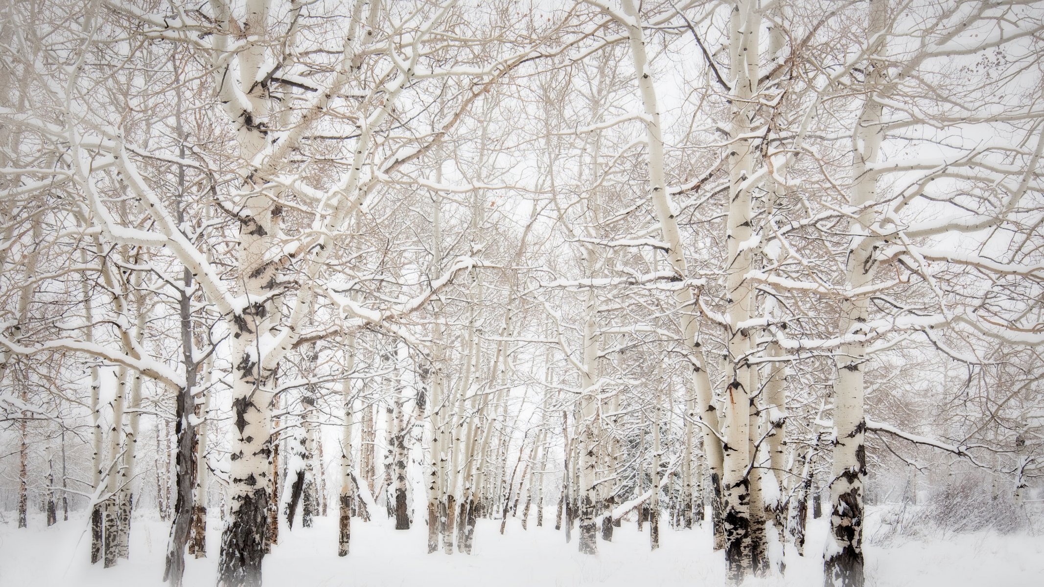 htc aspens in the snow original htc sense