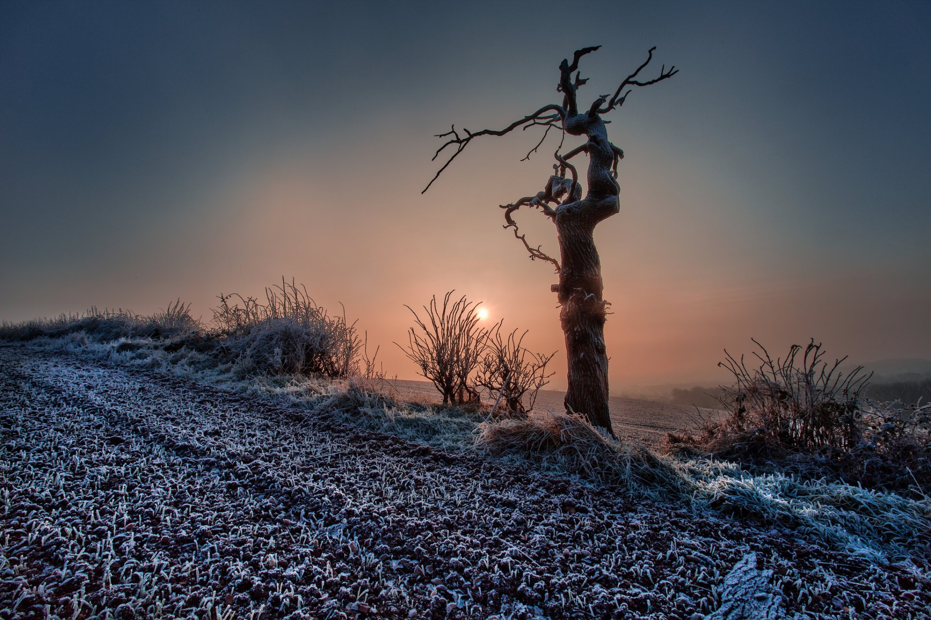 himmel dunst sonnenuntergang feld baum herbst schnee