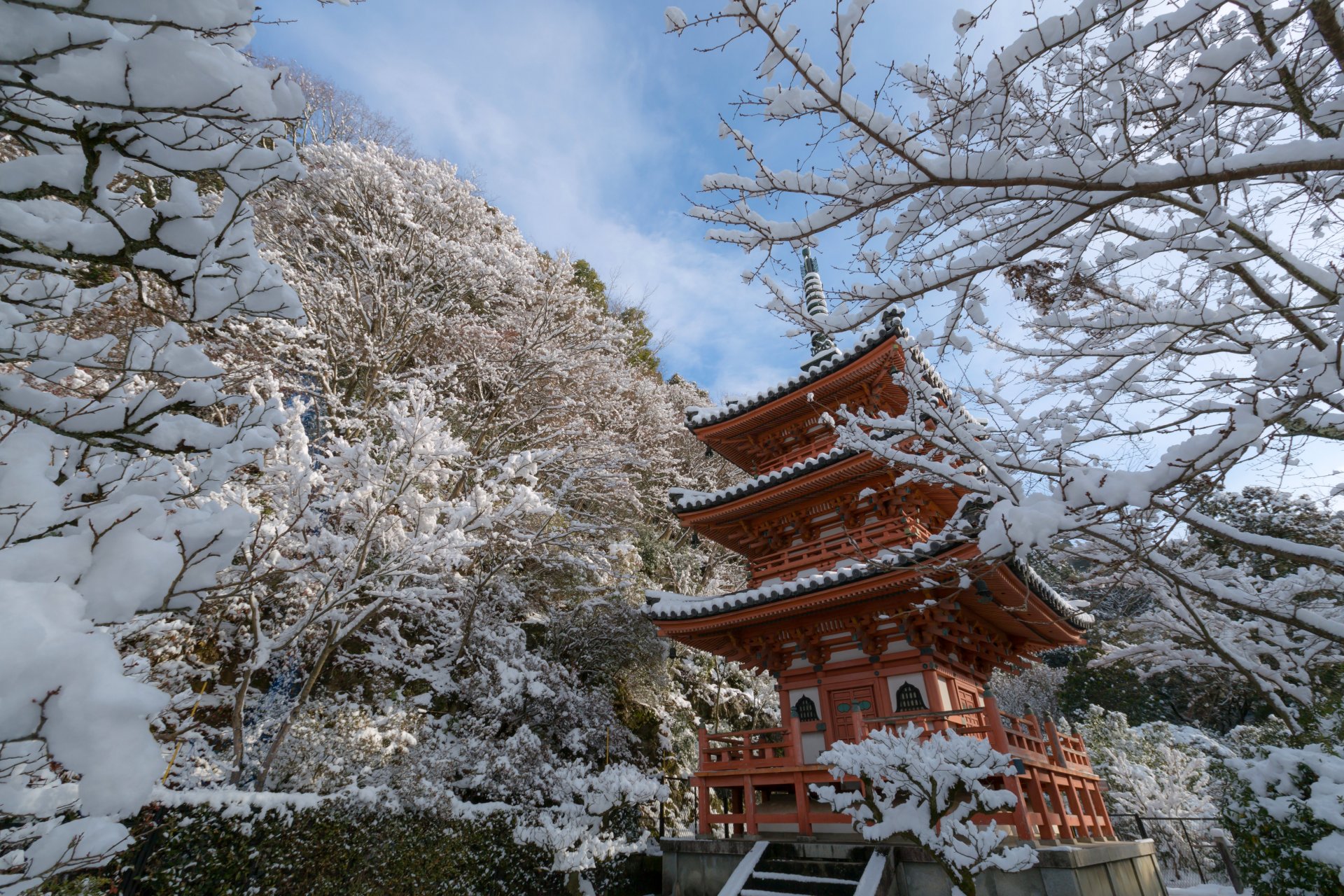 mimuroto-ji kyoto japon kyoto temple pagode hiver neige arbres branches