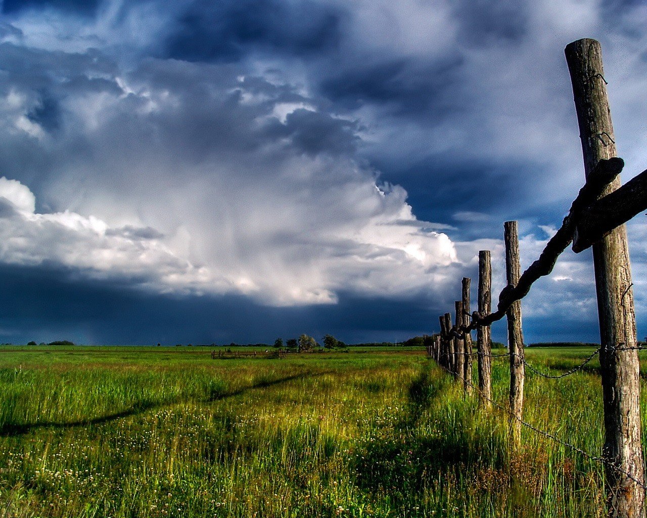 the field sky fence