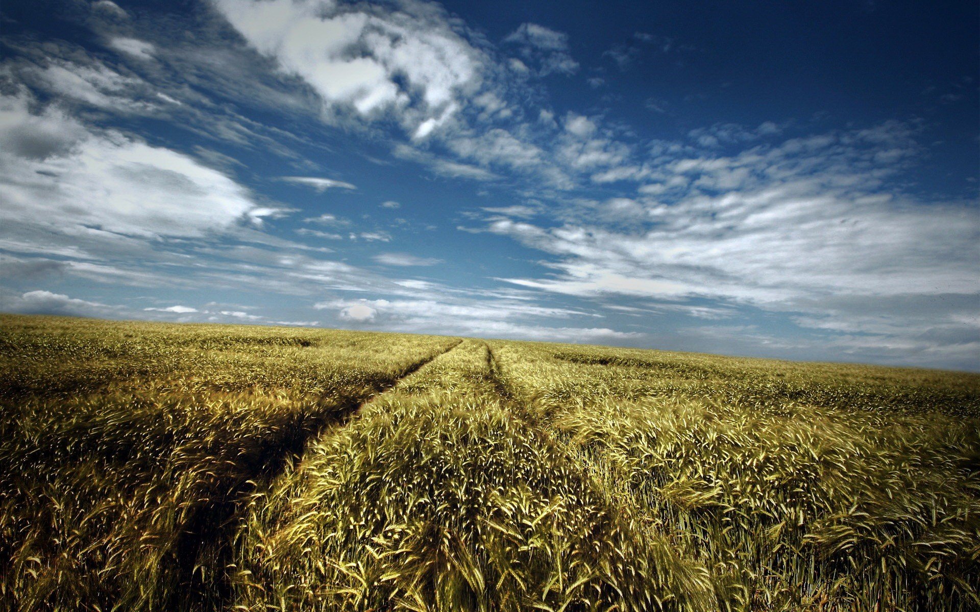 strada campo estate cielo