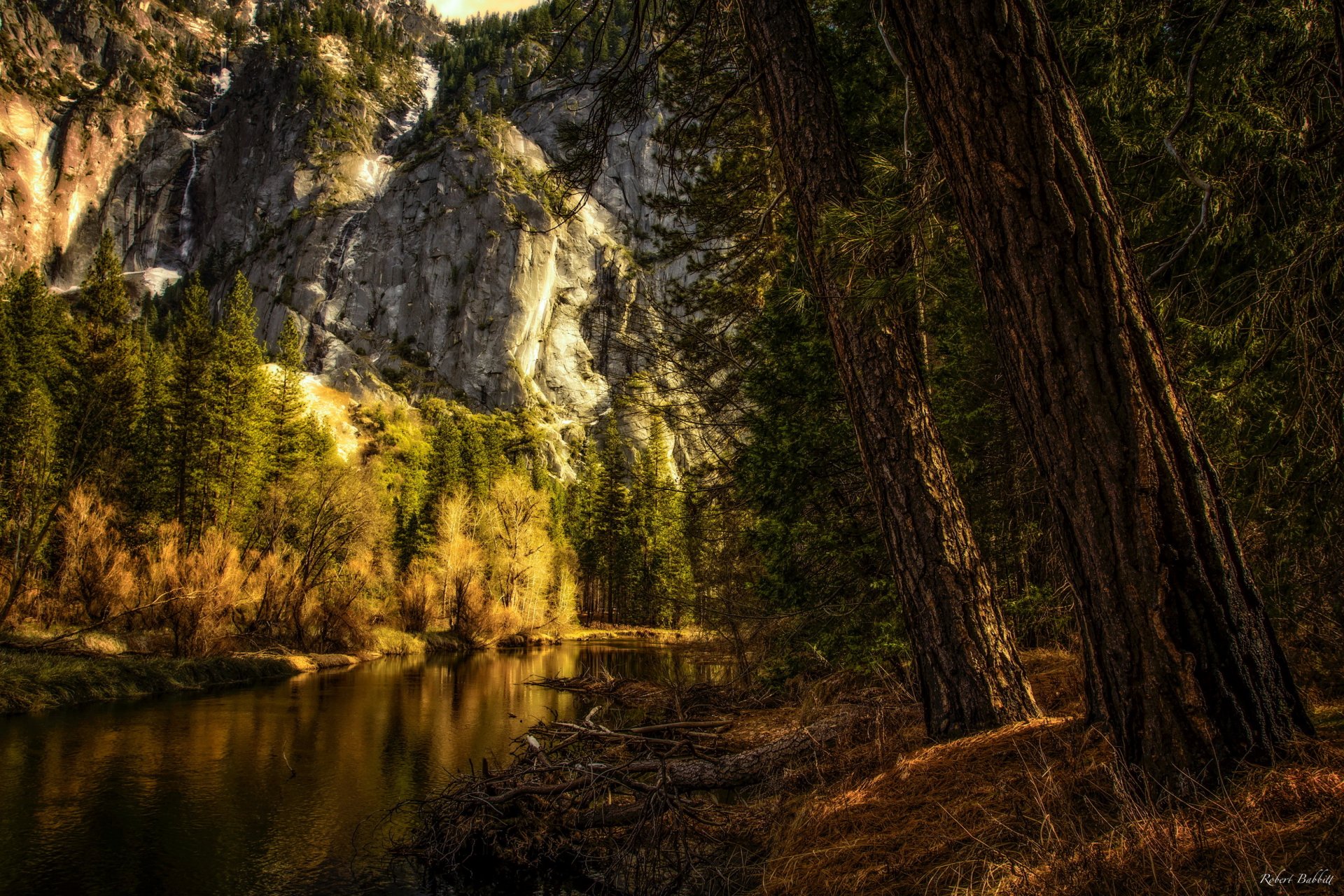 estados unidos parque nacional de yosemite california montañas rocas árboles agua tratamiento