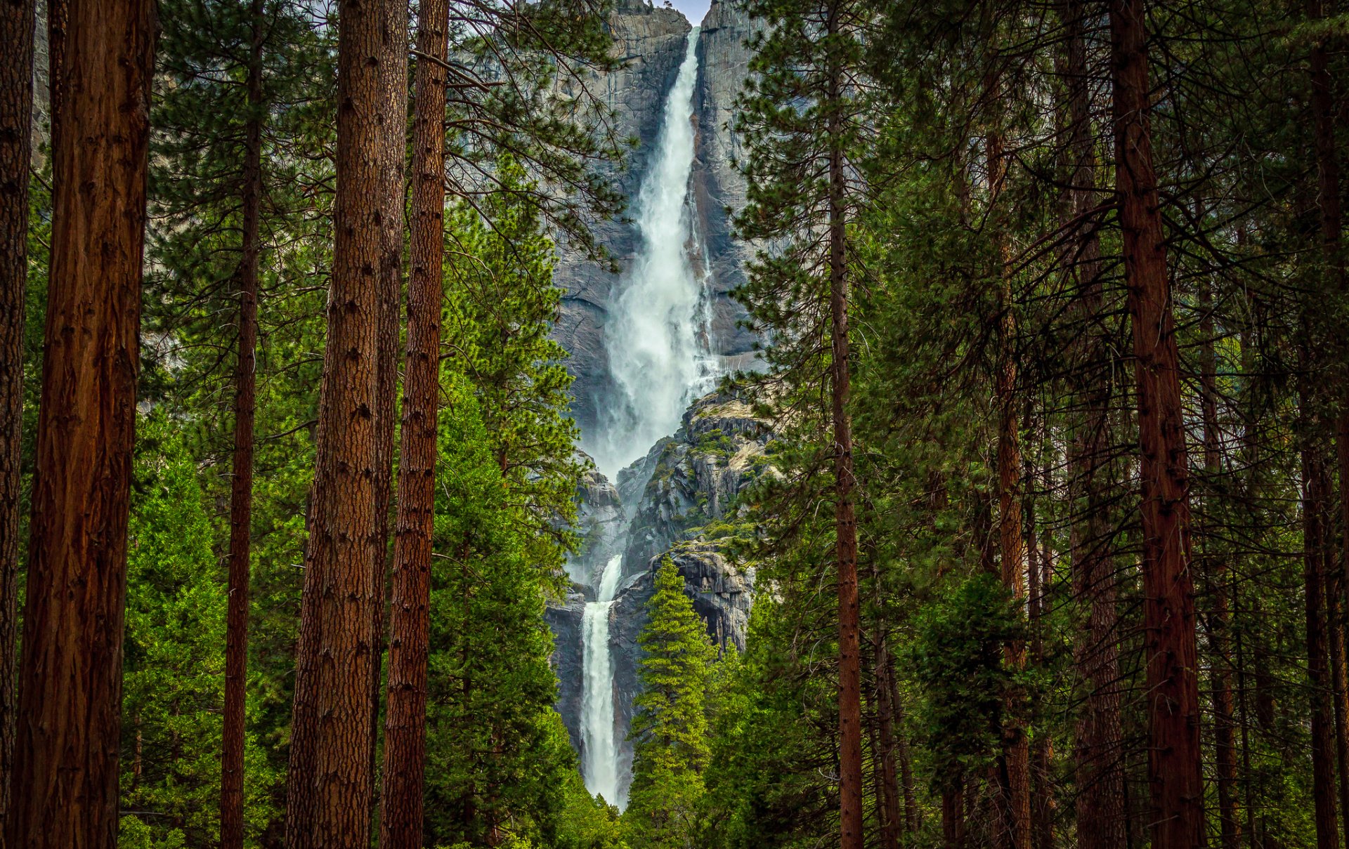 montagnes forêt rocher cascade arbres