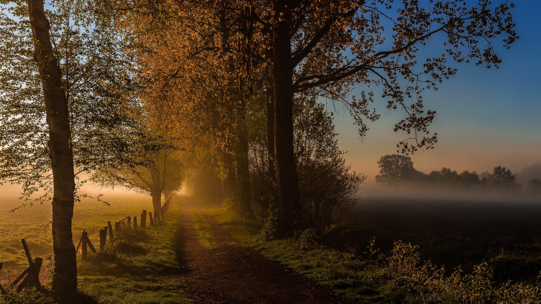 camino mañana niebla otoño