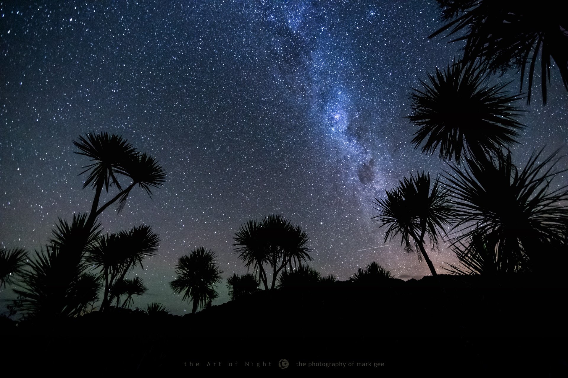 mark gee fotógrafo noche palmeras estrellas cielo meteoro