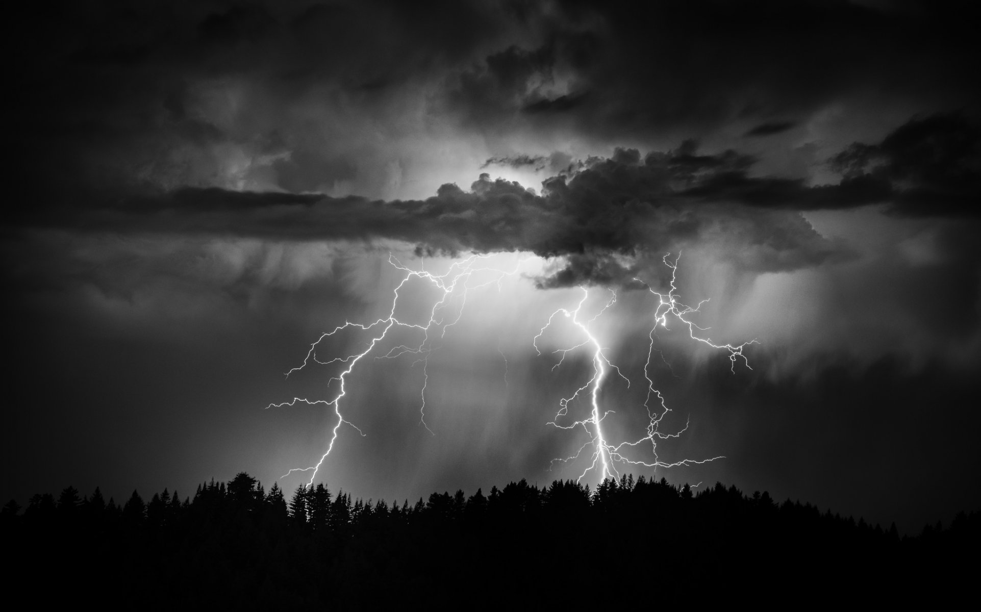 nuit ciel nuages foudre forêt