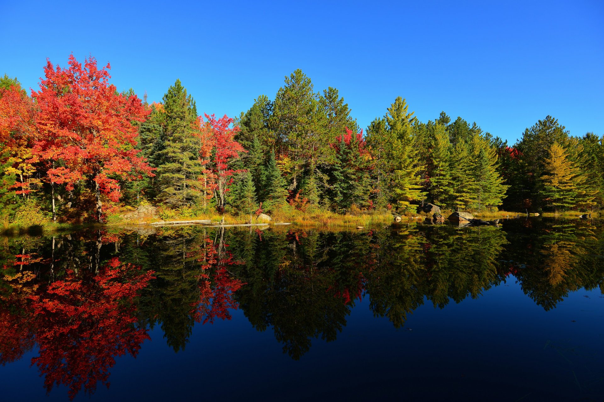 ciel coucher de soleil étang lac forêt arbres automne