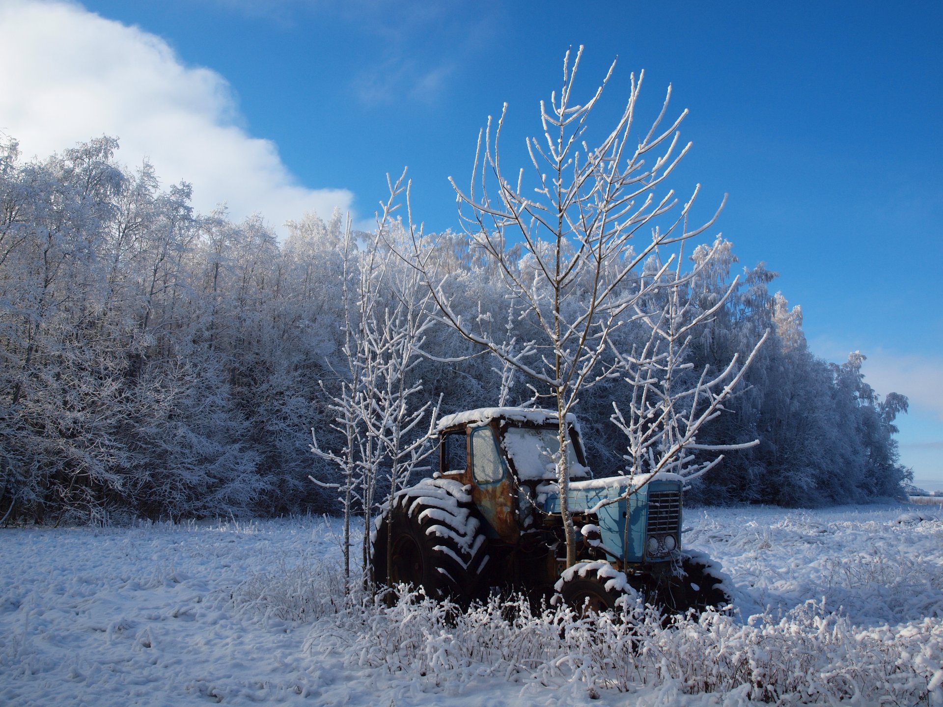 winter feld bäume traktor landschaft natur