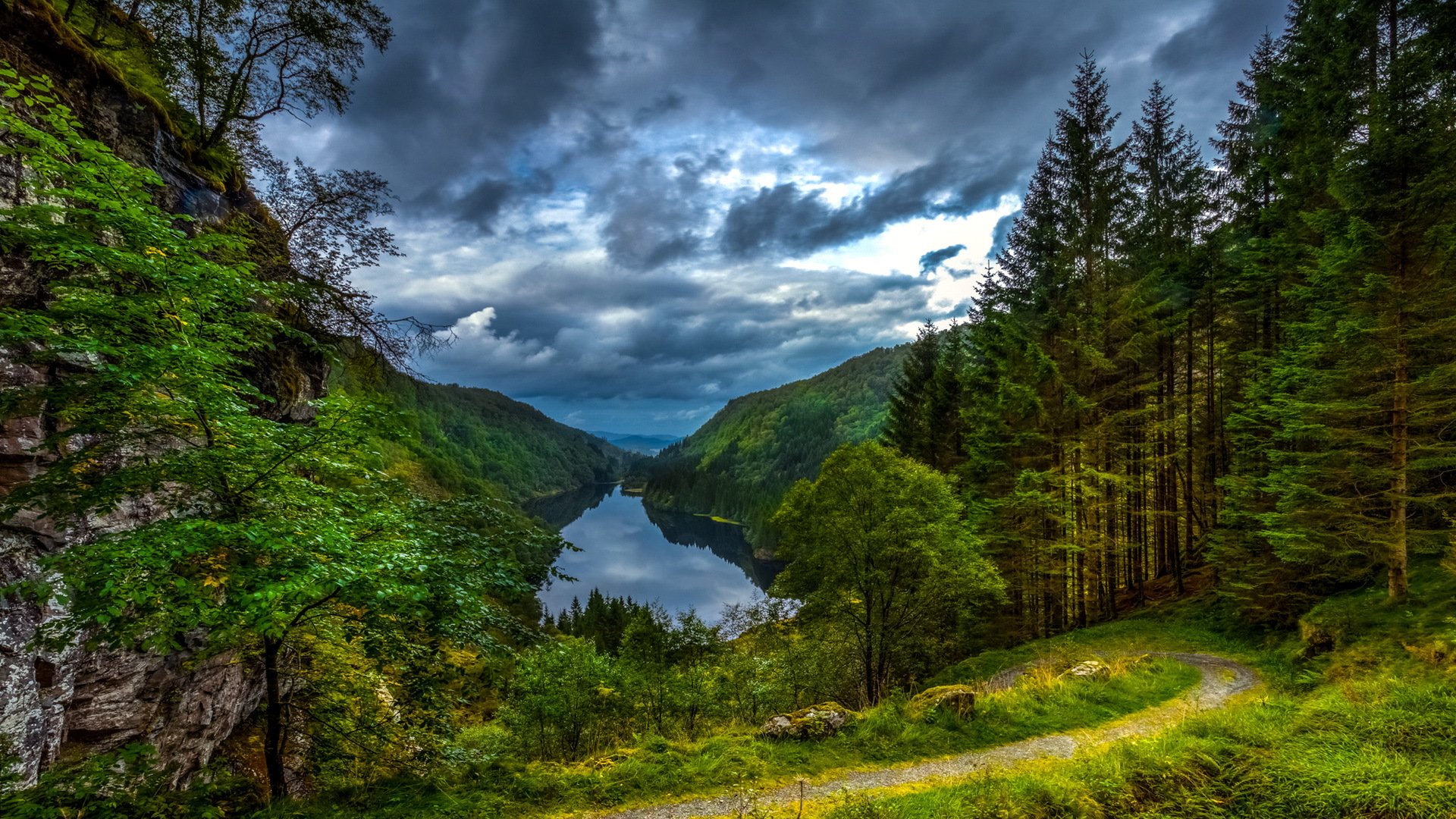 foresta montagna natura