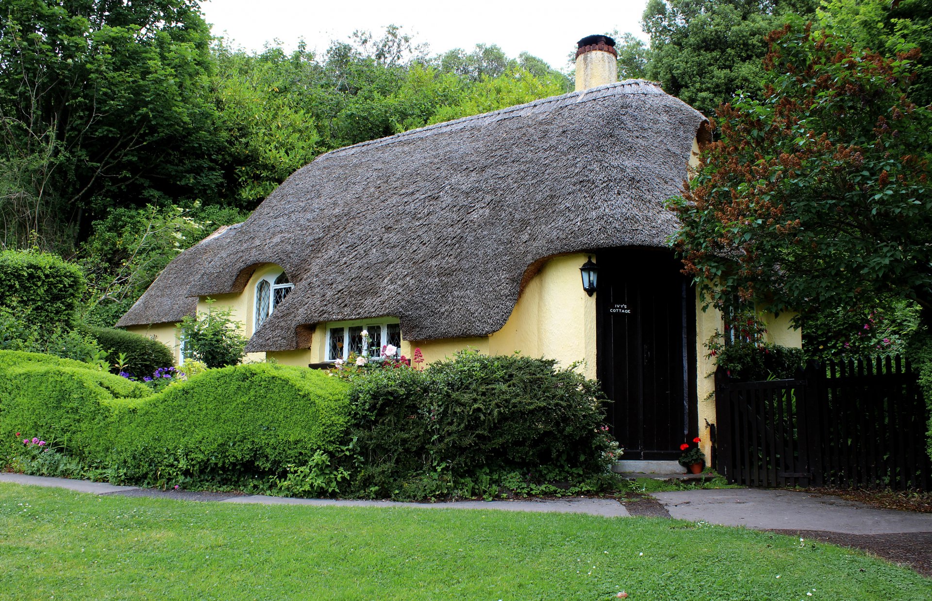 england holnicote haus design gehweg zaun gras büsche bäume