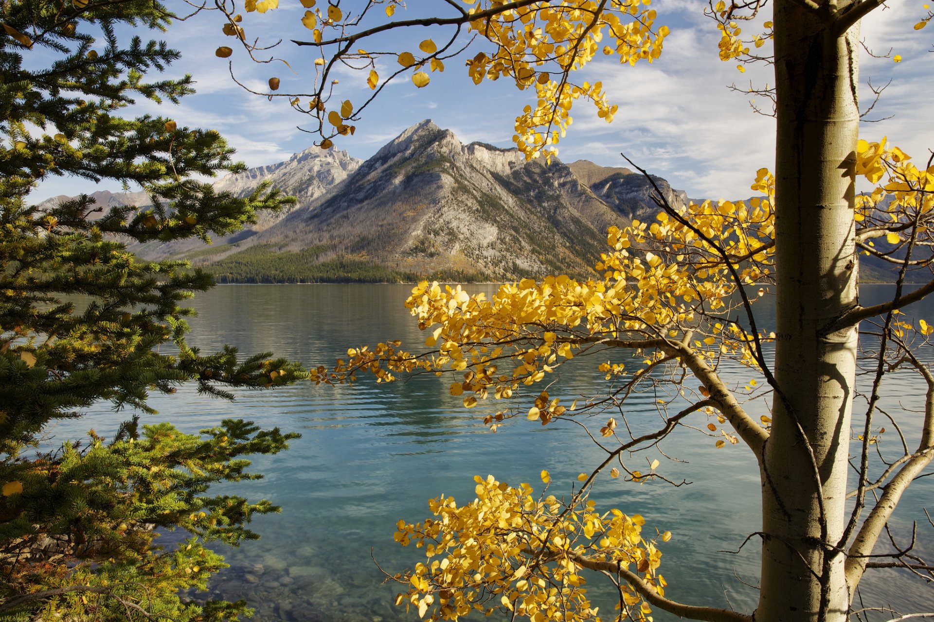 lago minnewanka alberta canada cielo montagne alberi foglie autunno