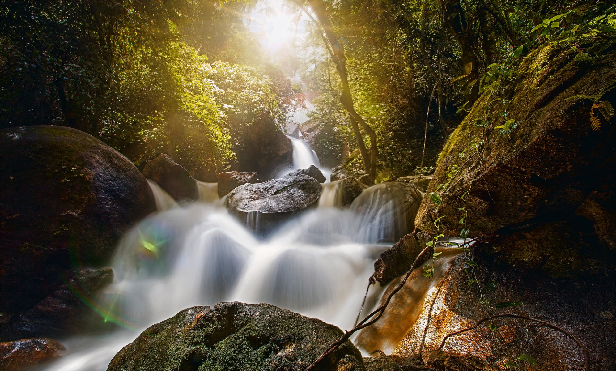 fallschleier bonito pernambuco brasilien breidlweil-wasserfall brautschleier-wasserfall bonito wasserfall steine felsbrocken wald