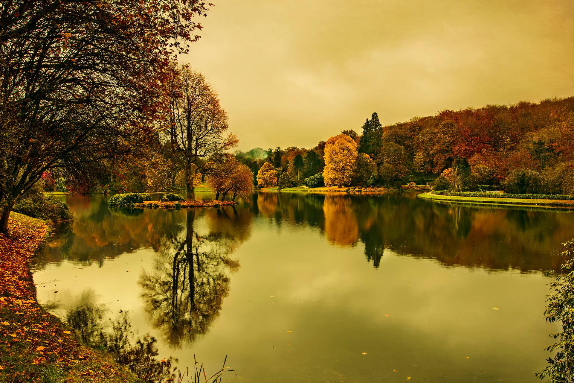 lügen durch die linse herbst bäume